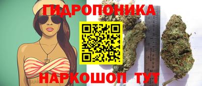 сатива Комсомольск-на-Амуре