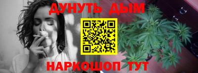 сатива Комсомольск-на-Амуре