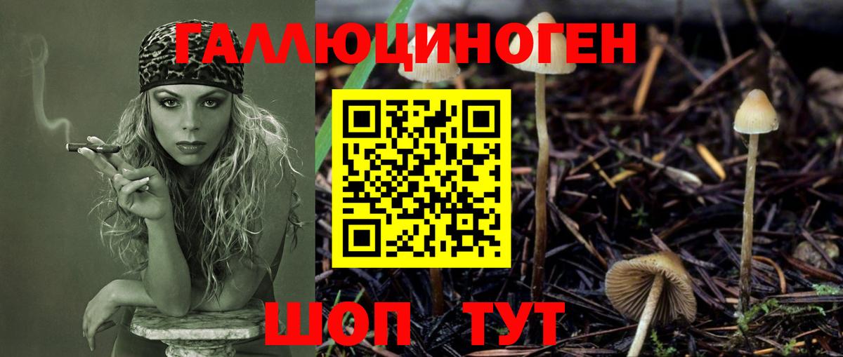 Кандалакша  Галлюциногенные грибы мухоморы  Галлюциногенные грибы Cubensis  Вход с VPN 